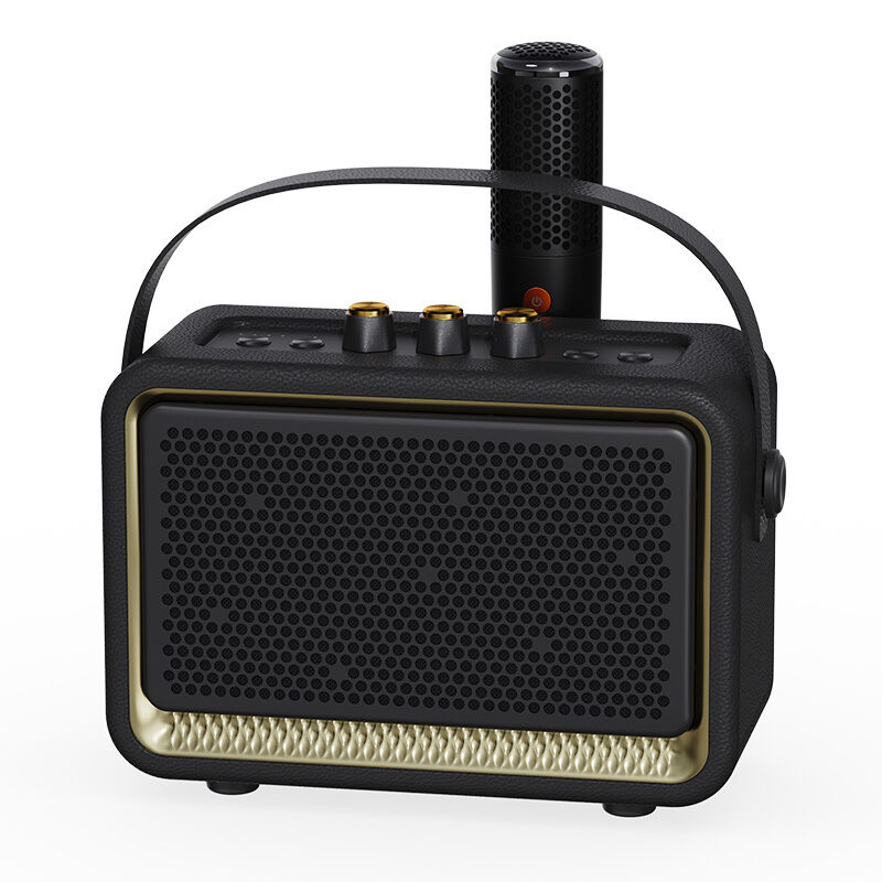 Home Gadgets 50w Surround Sound Wireless Speakers bluetooth Heavy Bass ODM bluetooth Karaoke Speaker with Wireless Mic